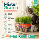Gramas para Gatos da Mister - Kit com 03 Unidades - Fácil de Plantar
