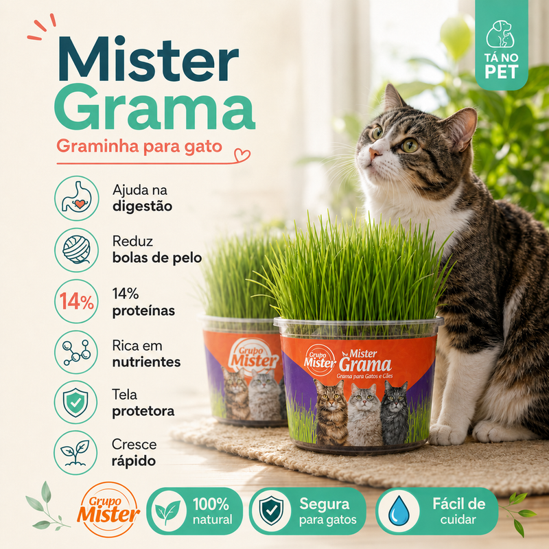 Gramas para Gatos da Mister - Kit com 03 Unidades - Fácil de Plantar