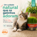 Gramas para Gatos da Mister - Kit com 03 Unidades - Fácil de Plantar