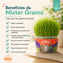 Gramas para Gatos da Mister - Kit com 03 Unidades - Fácil de Plantar