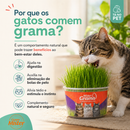 Gramas para Gatos da Mister - Kit com 03 Unidades - Fácil de Plantar