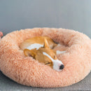 Cama Nuvem Pet - Veludo Luxuoso - Conforto